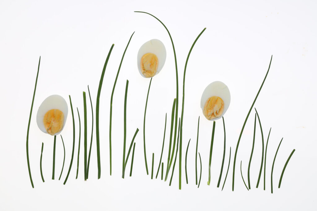grass with flowers made from half a hard boiled egg, photograph by Carla McMahon