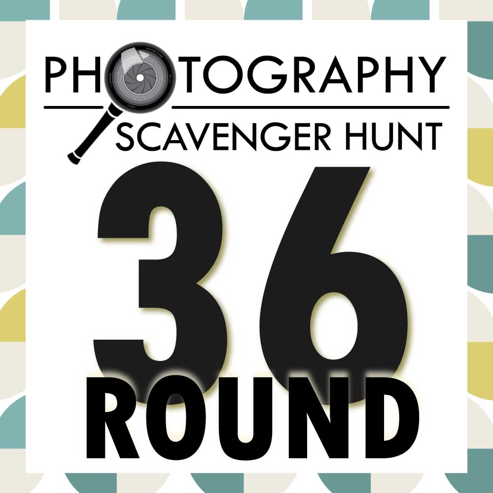 Round 36 of the Photography Scavenger Hunt